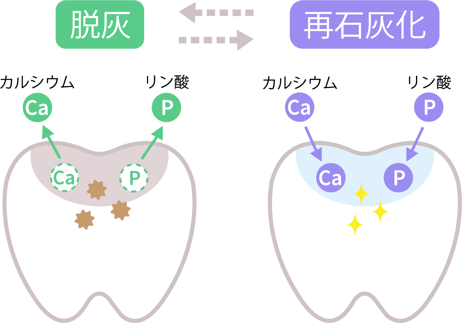 脱灰・再石灰化イメージ